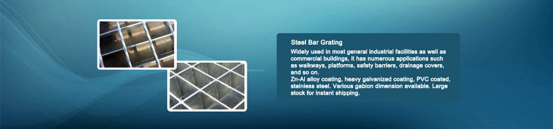 Galvanized Plain or Serrated Steel Grating/Bar Grating