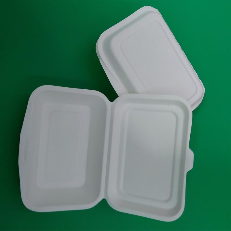 Disposable Biodegradable Sugarcane Bagasse Paper Tableware