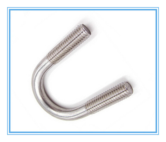 Stainless Steel L Bolt/U Bolt/ Anchor Bolt