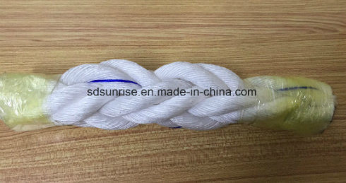 PP Color Braided Rope 100 Feet