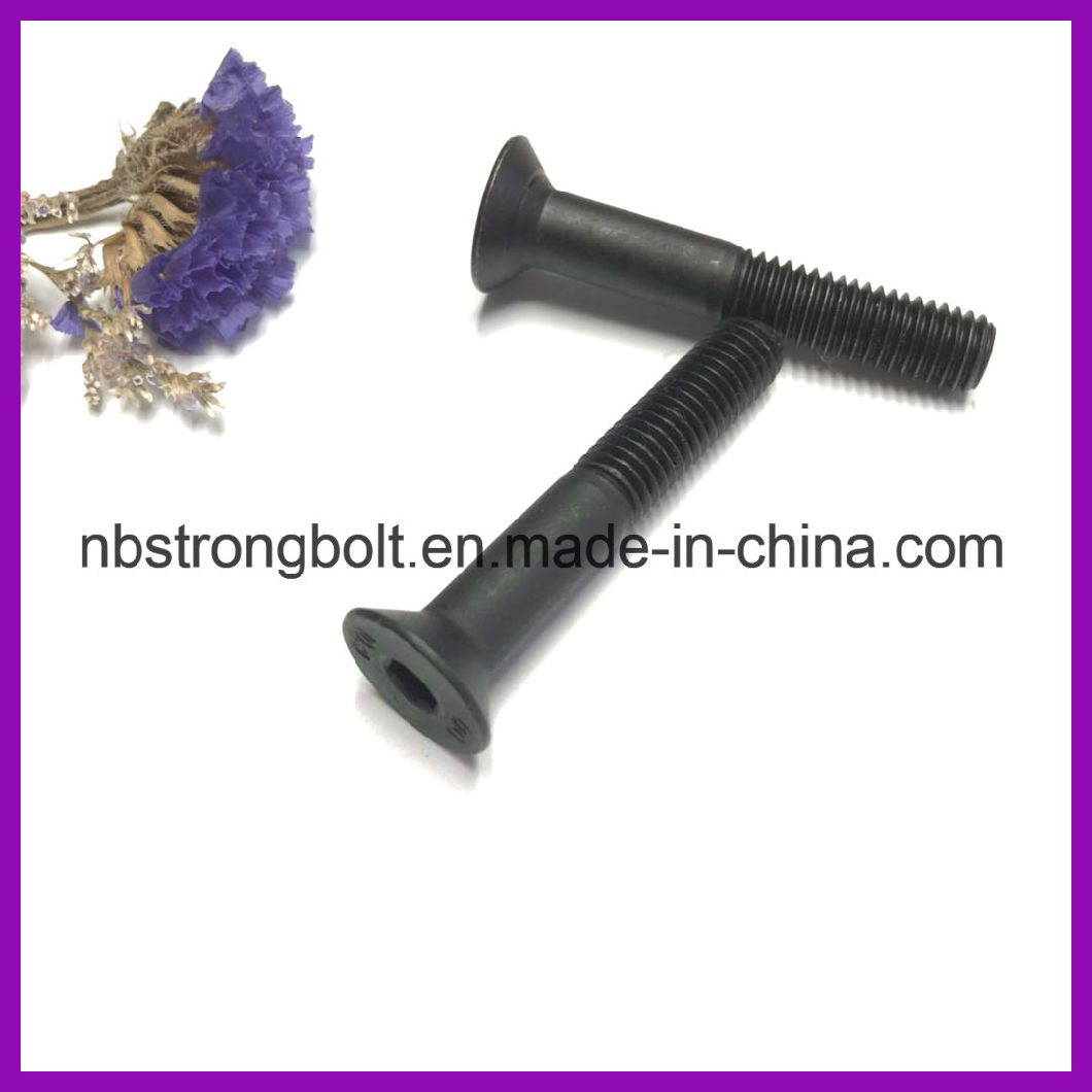 Hex Head Socket Bolt DIN7991