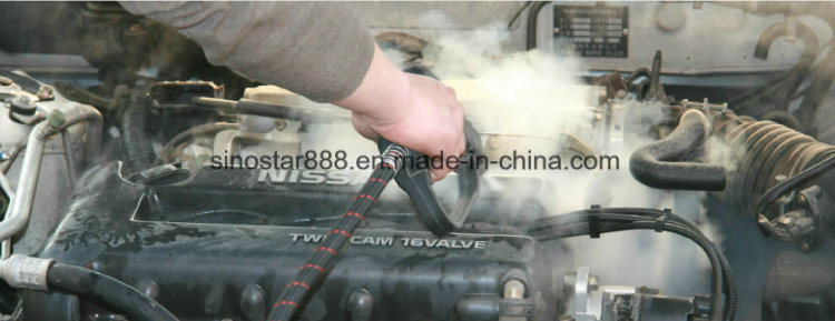 Best Sale Steam Car Washer/Battery Powered Car Washer/Car Mat Washer (SS-JNX-3000)