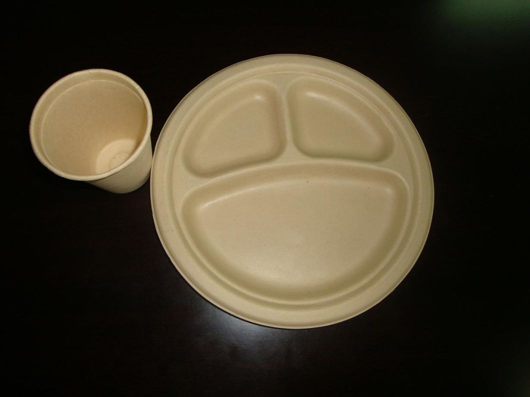 Recycled Paper Food Tray Paper Tray with Cup Holder Paper Pulp Tray