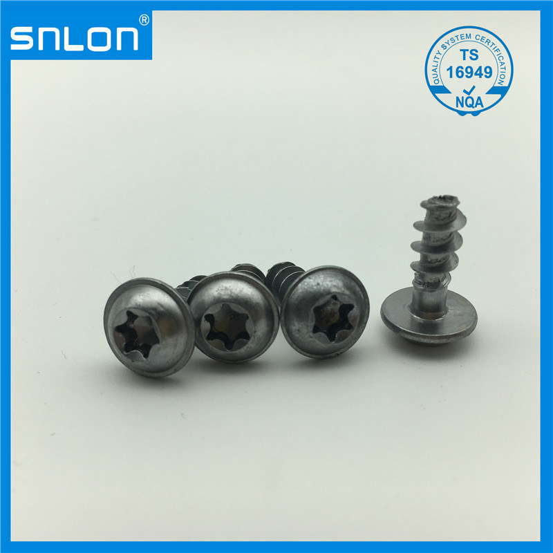 Stainless Steel Round Head Trox Head Screw