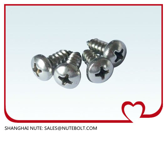 Stainless steel pan head Self Tapping screw