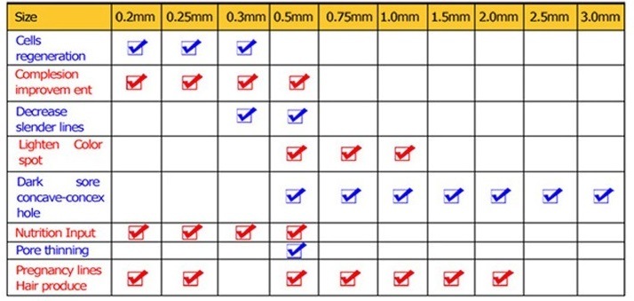 DNS Biogenesis London Dermaroller 192 Pins Micro Needle