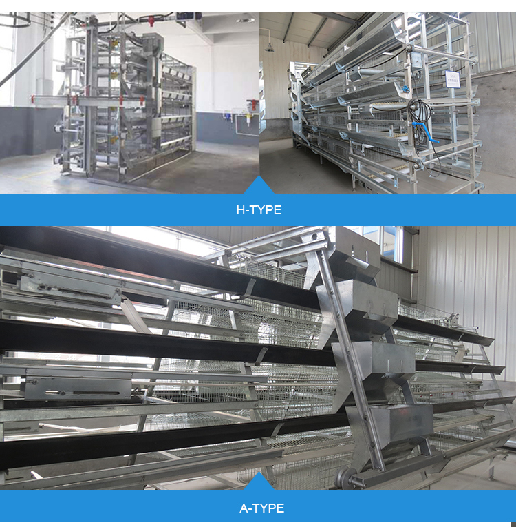 Fully/Semi-Automation Lower Cost Price a-Type Chicken Cage Equipment