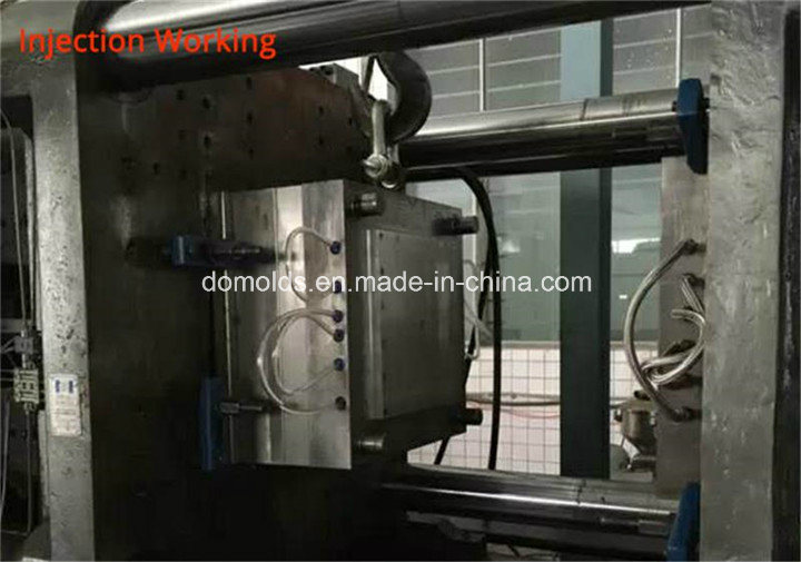 China Professional Supplier of Mold