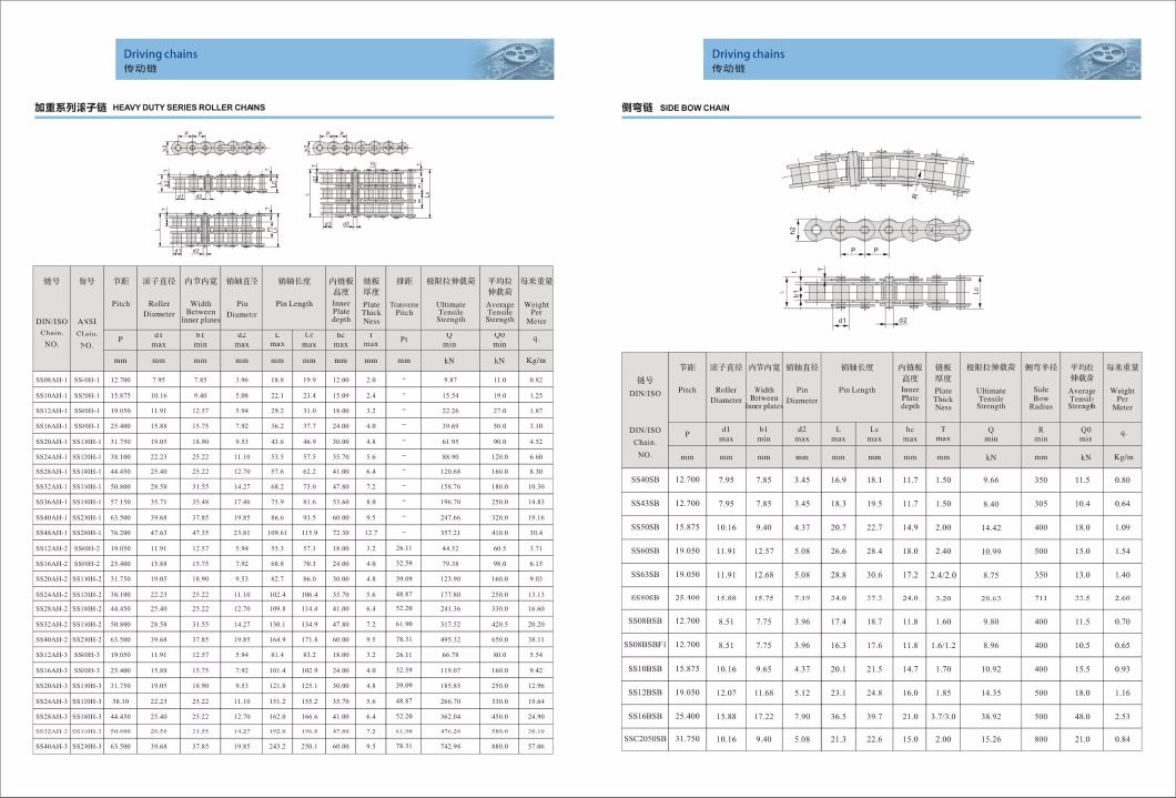 B Series Stainless Steel Driving Chains Short Pitch Precision Single Roller Chain Ss04b1 05b1 06b1 08b1 10b1 12b1 16b1 20b1