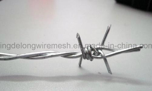 Grass Boundary Protecting PVC Coated/Glavanize Barbed Wire
