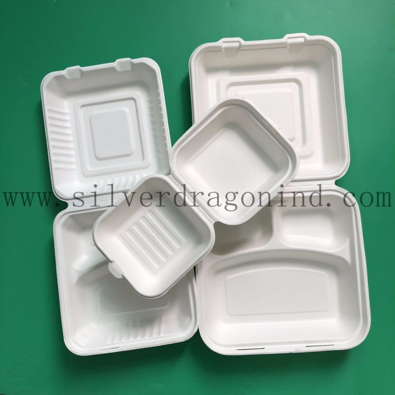 Compostable Sugarcane Pulp Paper Tray for Party