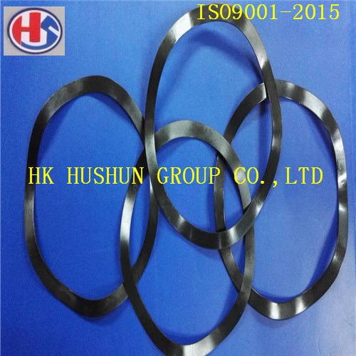 Black Oxide Coating Spring Washer Used for Ball Bearing (HS-SW-6201)