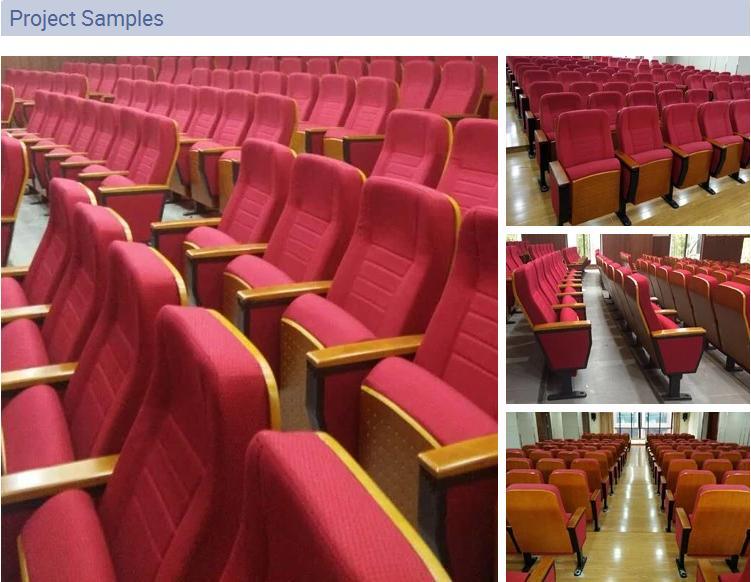 Auditorium Meeting Conference Lecture Theater Church Hall Seating (1005)