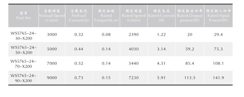 Micro Electric Brushless Permanent Magnet Motor