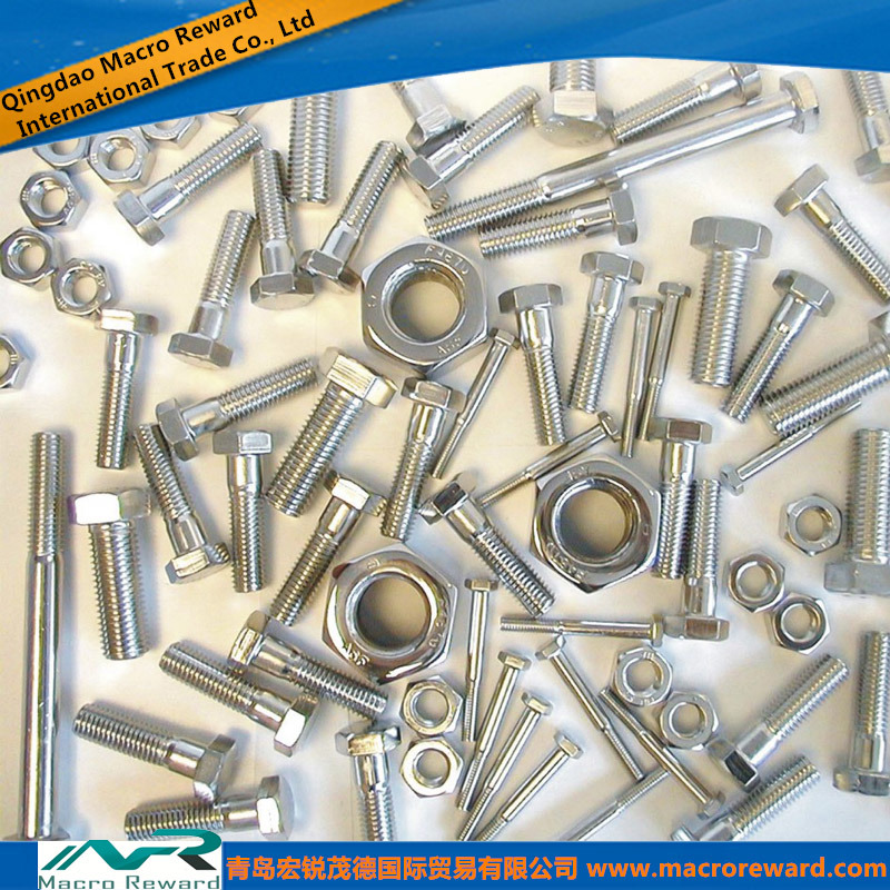 GB ASTM ISO Stainless Steel Screw Bolt Nut Washer