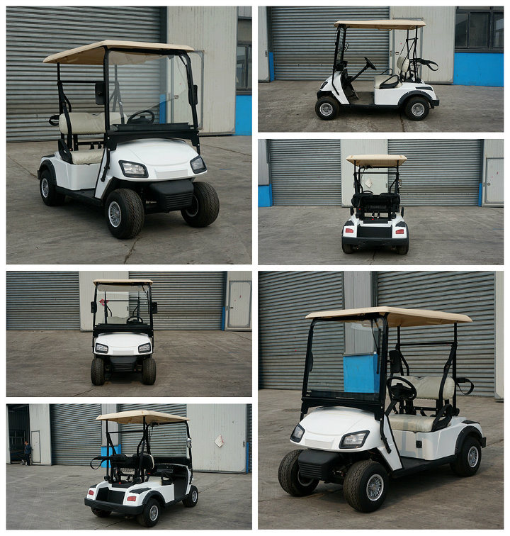 Zhongyi New Brand off Road 2 Seater Mini Golf Cart with Bucket for Resort