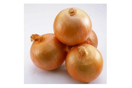 Fresh Yellow Onion with Competitive Price