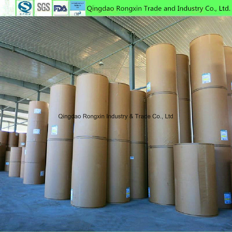 Double Side PE Coated Paper in Roll or in Sheet for Cups