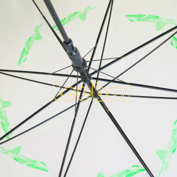 New Poe Umbrella Design, Auto Open Transparent Straight Umbrella