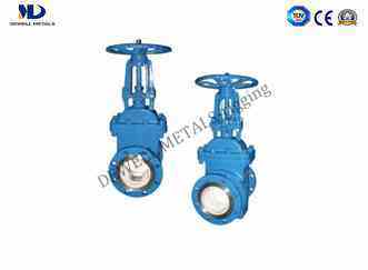 Extraction Check Valve