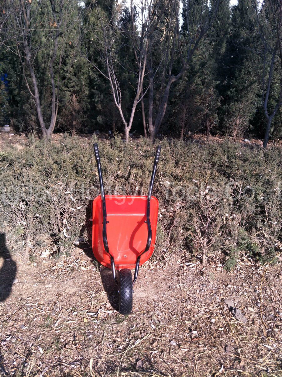 Kids Wheel Barrow for Europe Market