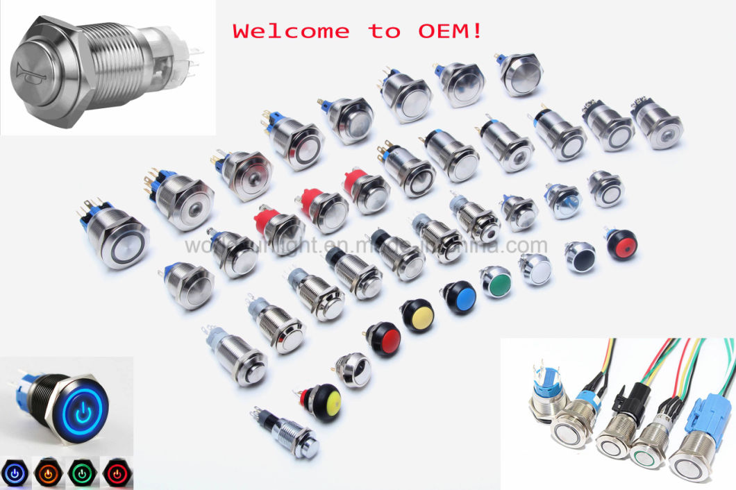 19mm Momentary Car Speaker Horn Buttonswitch Metal LED Logo Light Fixed Push Button Switch