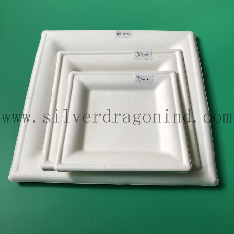 Sugarcane Pulp Disposable Paper Tray for Dinner or Party