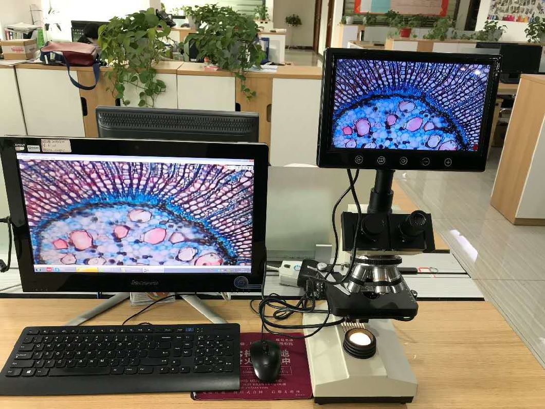 China Factory Price for Digital LCD Microscope for Laboratory Xsz-107bniii