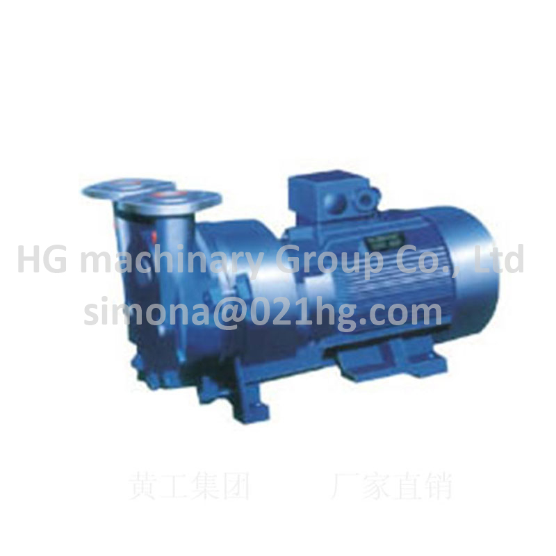 High Quality 2sk Series Single Stage Water Ring Vacuum Pump for Autoclave