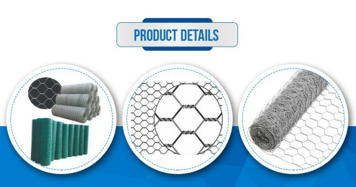 PVC Hexagonal Wire Mesh