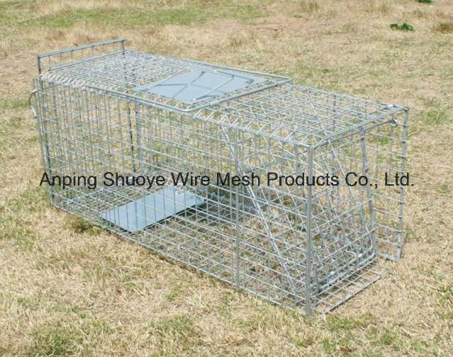 Multi-Hunting Foldable Live Animal Traps Cage Rodents Cage