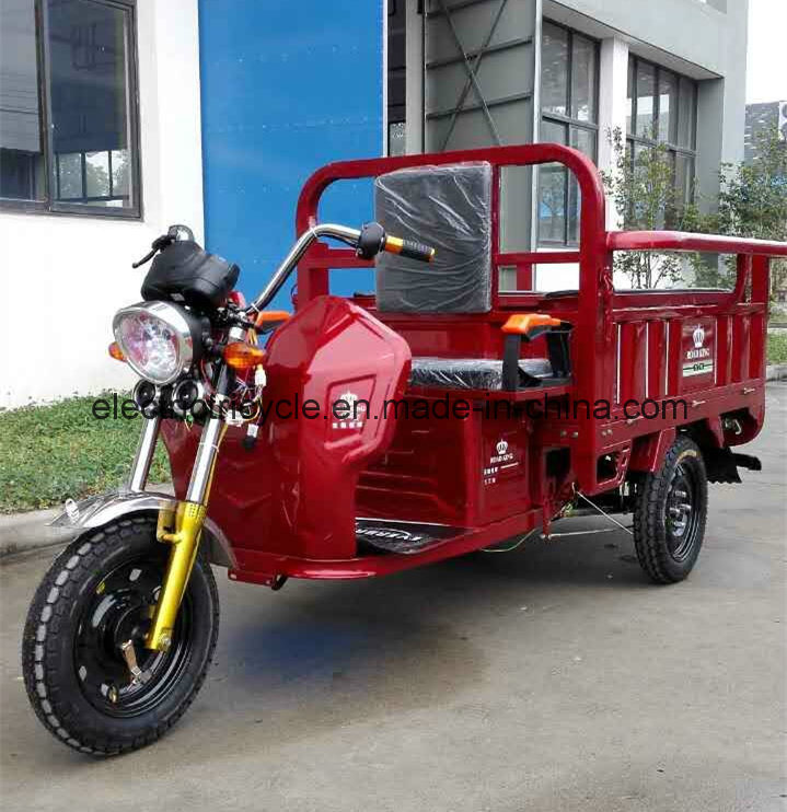 The Latest Factory Sales Electric 3 Wheel Motorcycle for Cargo or Passenger