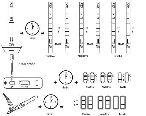 Lh Ovulation Accurate One Step Rapid Test Strip/Cassette/Midstream/Canister