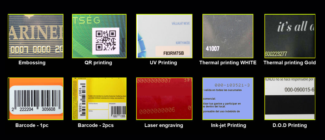 Proximity 125kHz 13.56MHz Plastic RFID Card for Hotel Door Tag