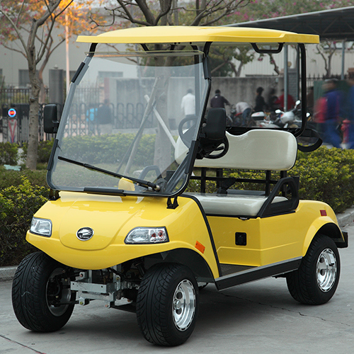 Right Hand Steering Golf Cart (2 seater electric right hand golf car)