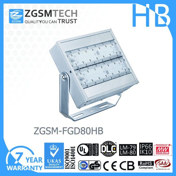 UL cUL Dlc Approved 277-480VAC High Voltage Flood Light