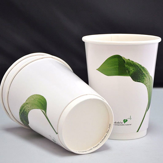 Custom Biodegradable Disposable Paper Cup for Hot Drink