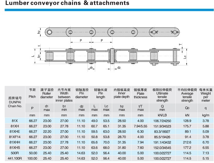 Transmission Conveyor Chain Roller Chain /Hollow Chain/Steel Pintle Chain