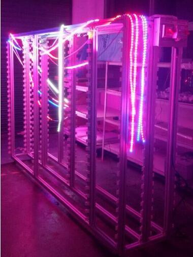 LED Growth Light Plant Vegetable Growth Strip Light with Ce&RoHS