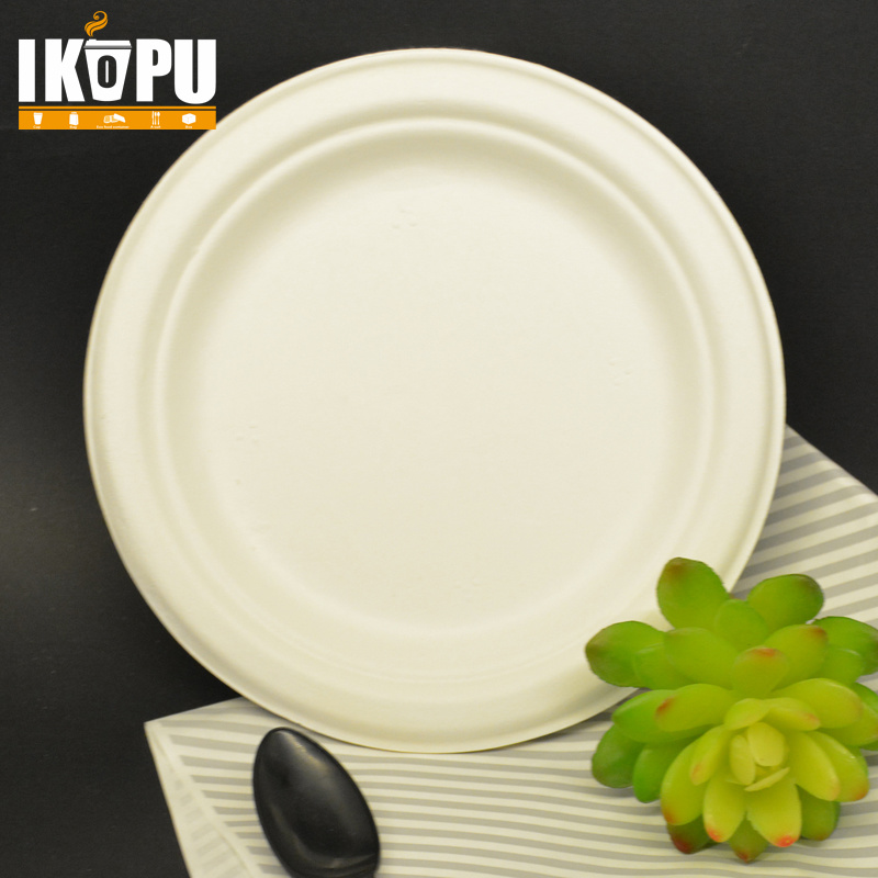 Cheap Biodegradable Corrugated Disposable Paper Plate