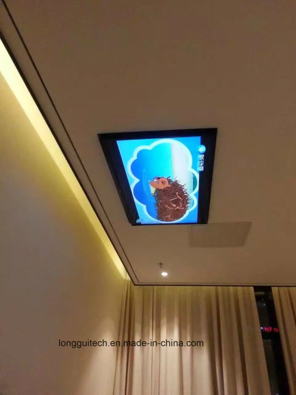 32-55 Inch Ceiling Screen Outside TV Lift Lgt-C32