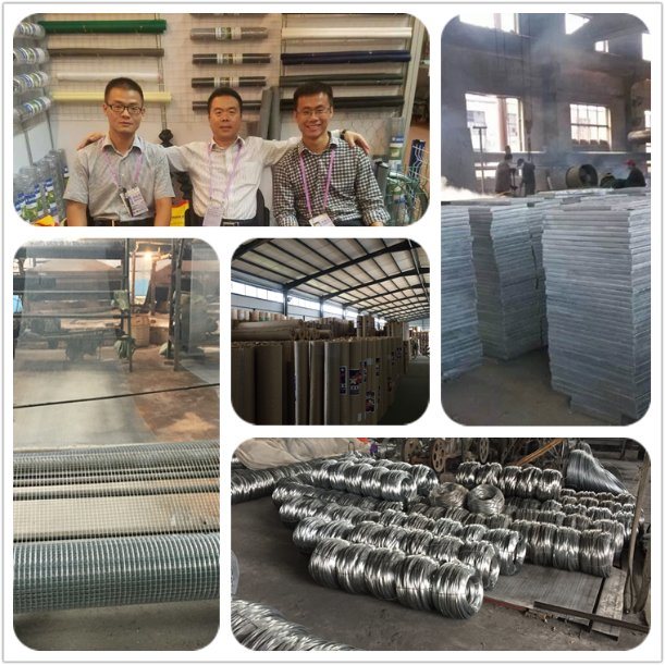 Galvanized Weld Bar Grating for Wire Mesh