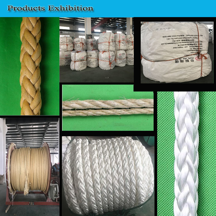 Hot Selling Factory PP 52mm Mooring Rope Rope for Ship