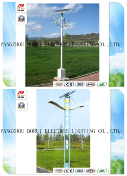 Brsgl037 12V Working Voltage LED Garden Use Solar Light