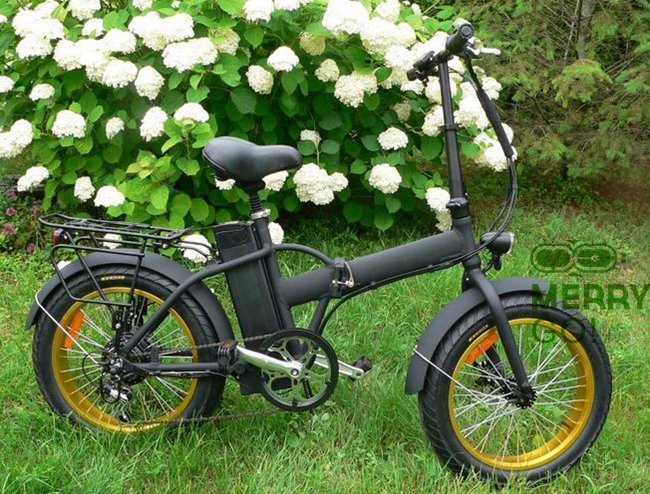 2017 Latest and Upgraded 48V 500W Electric Fat Tyre Folding Bike