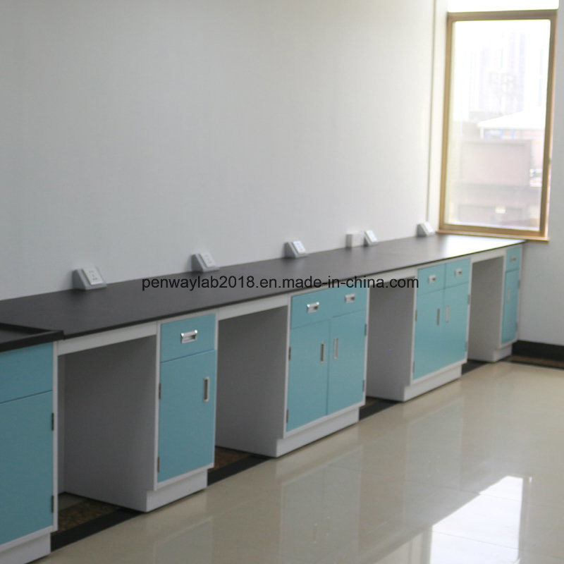 Chemistry Lab Furniture Tissue Culture Lab Bench