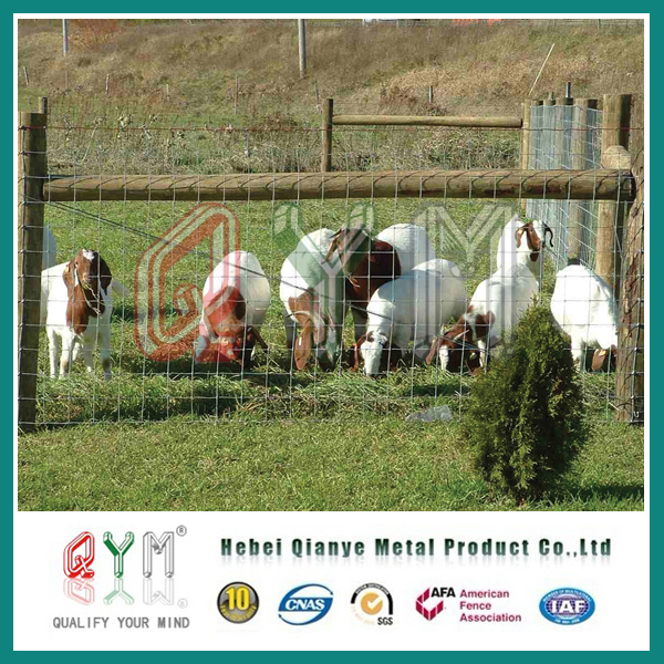 High Tensile Hinge Joint Galvanised Goat Farm Fencing