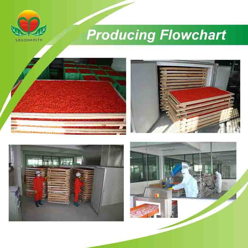 Manufacture Supply Organic Goji Berry