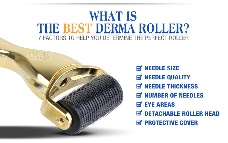 3 in 1 Home Use Micro Needle Derma Roller