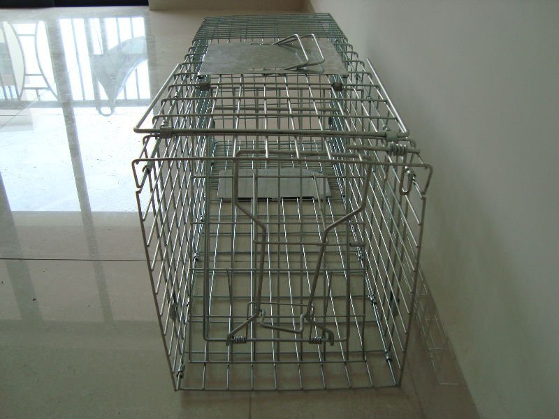 Humanistic Hunting Live Animal Trap Cages for Catching Rats/Mink/Rodent